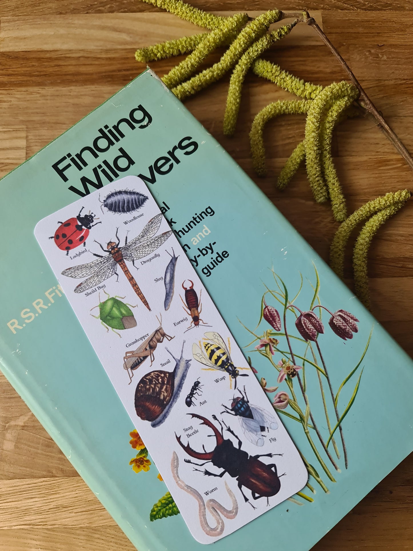 Garden Minibeast Identification Bookmark