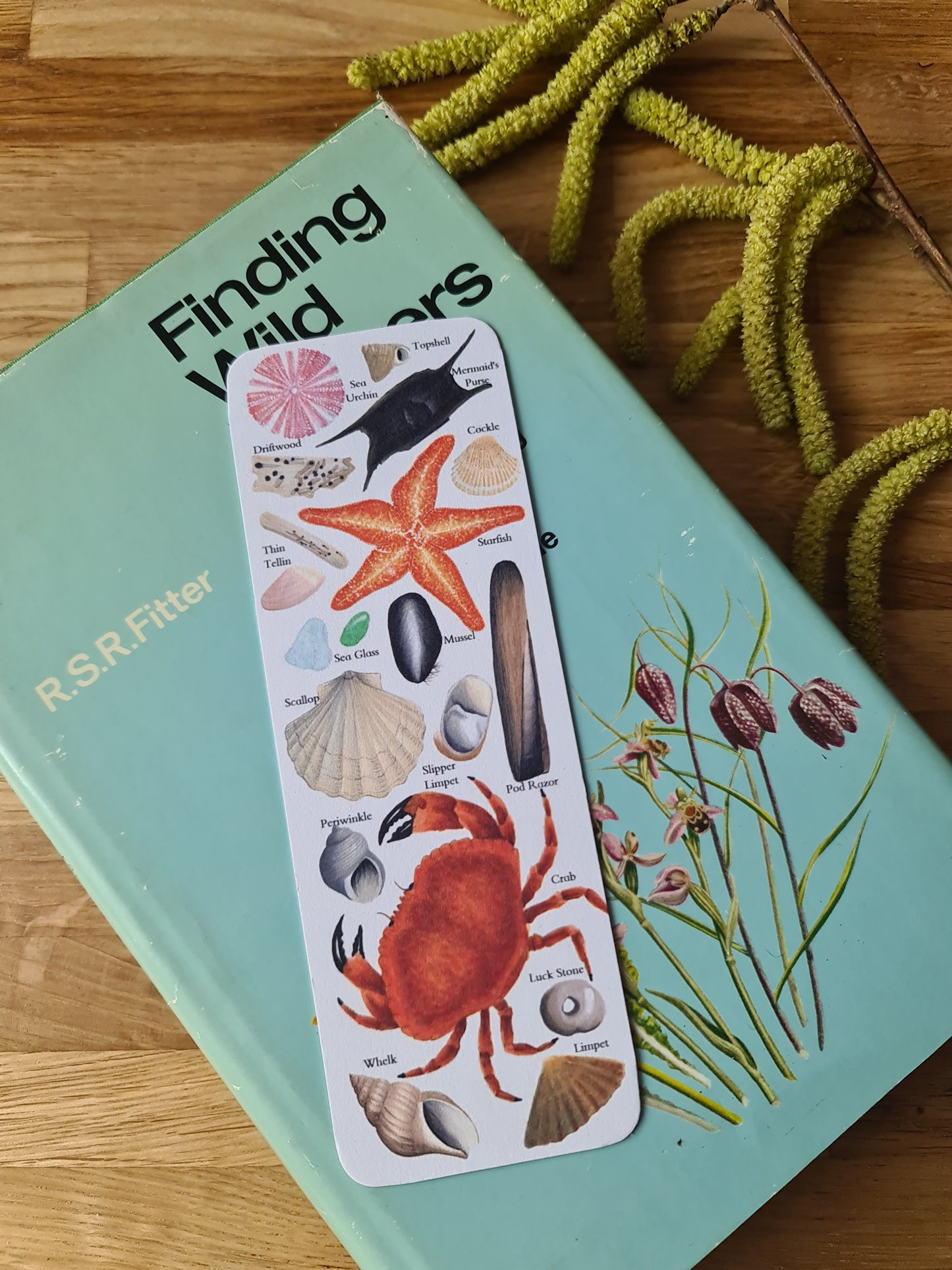 Beachcombing Identification Bookmark