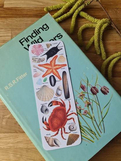 Beachcombing Identification Bookmark
