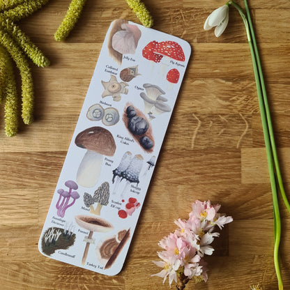 Fungi Identification Bookmark
