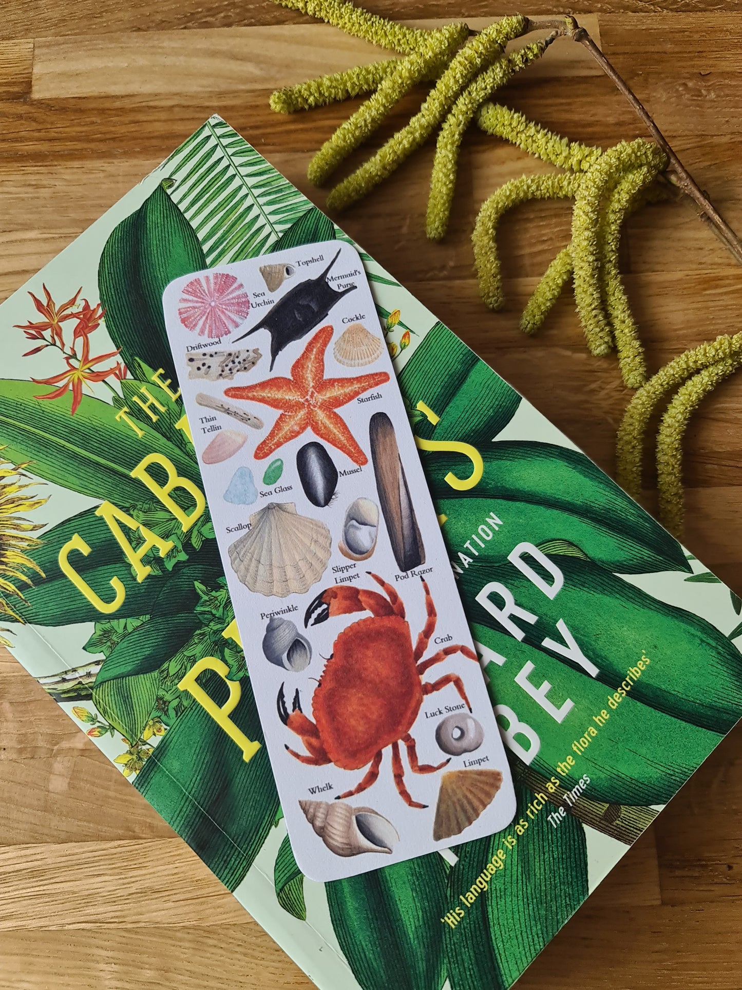 Beachcombing Identification Bookmark