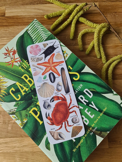 Beachcombing Identification Bookmark