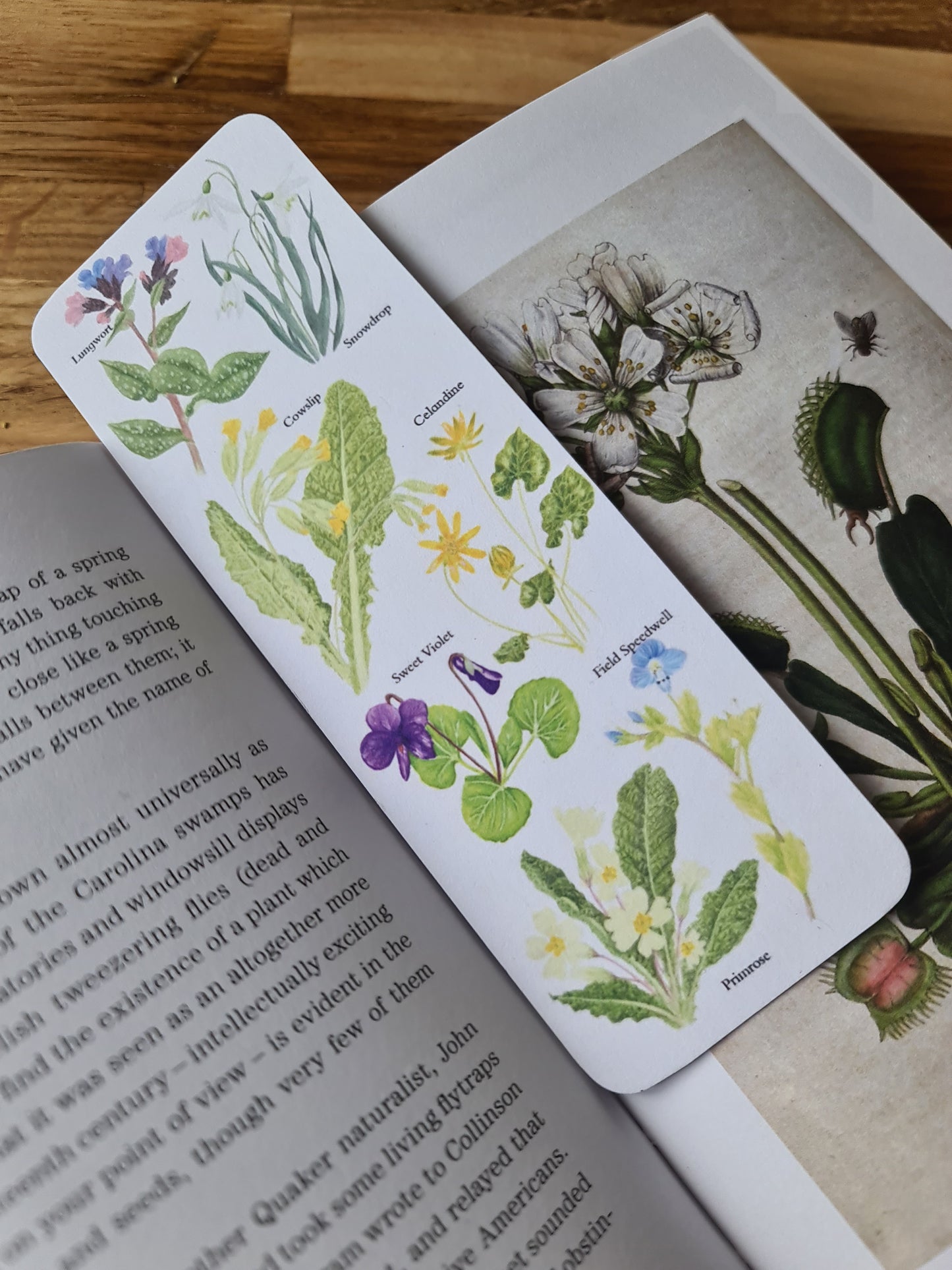Spring Flower Identification Bookmark