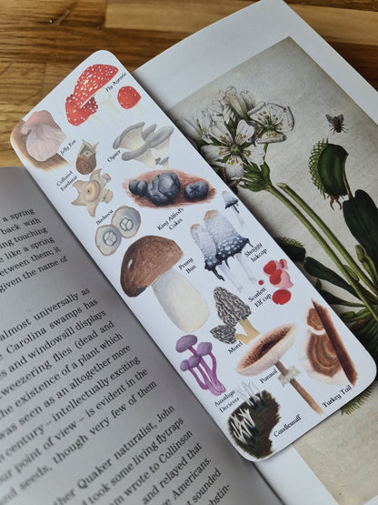 Fungi Identification Bookmark