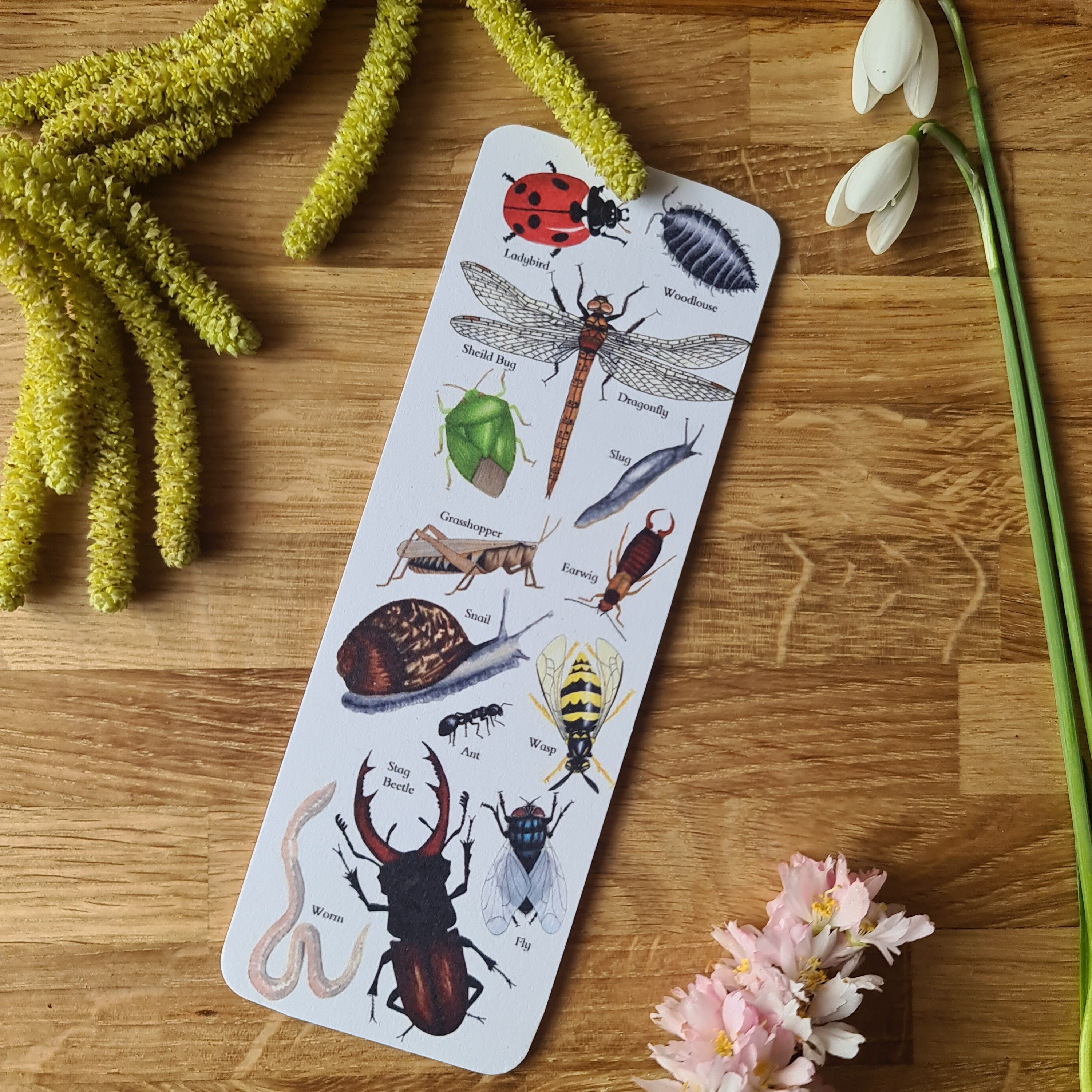 Garden Minibeast Identification Bookmark – At the Cherry Tree
