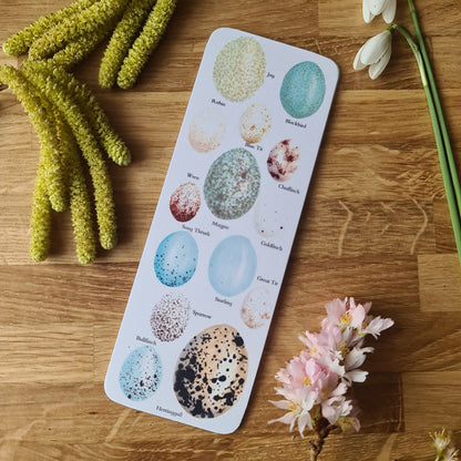Birds Egg Identification Bookmark