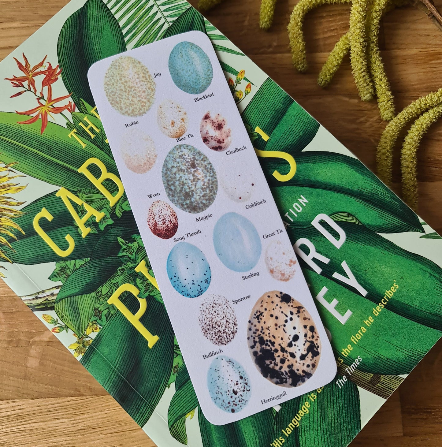 Birds Egg Identification Bookmark