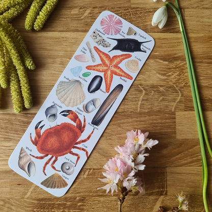 Beachcombing Identification Bookmark