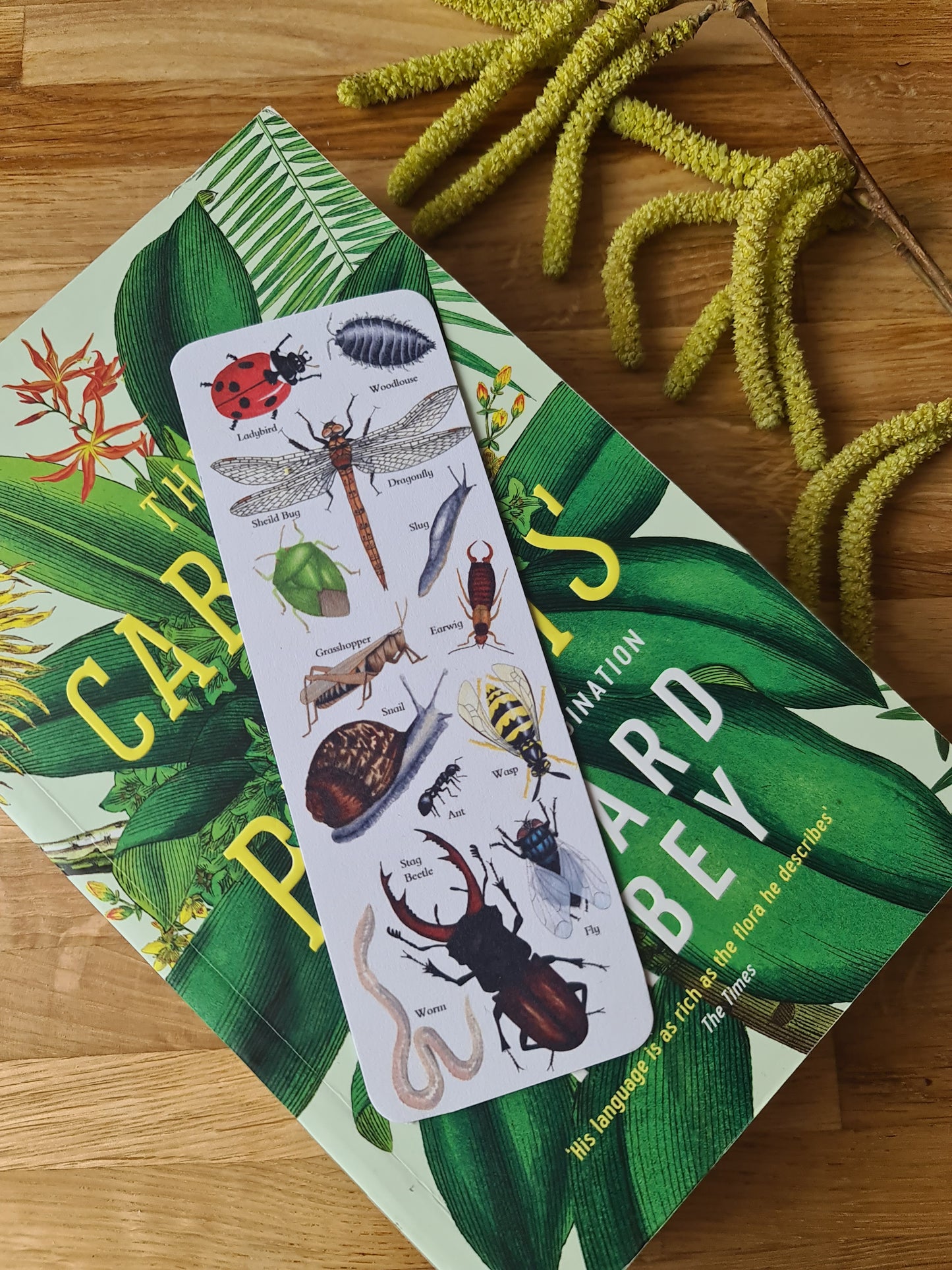Garden Minibeast Identification Bookmark
