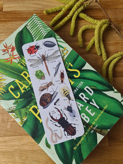 Garden Minibeast Identification Bookmark