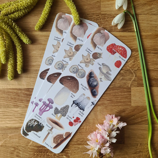 Fungi Identification Bookmark