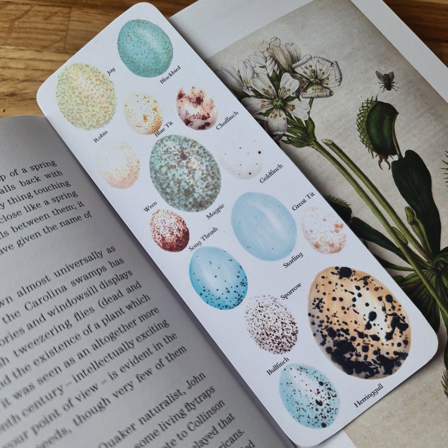 Birds Egg Identification Bookmark