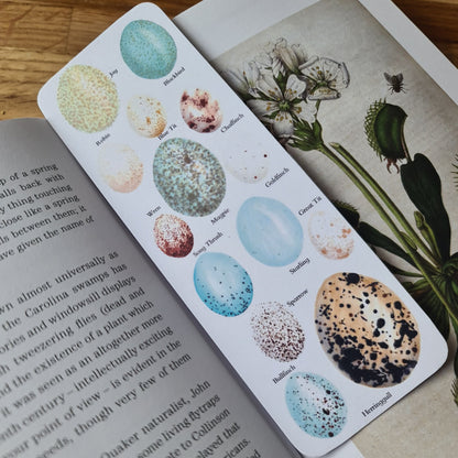 Birds Egg Identification Bookmark