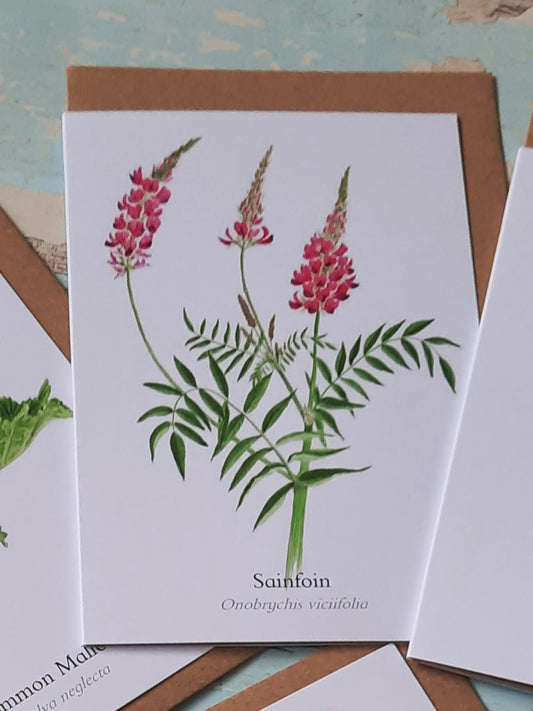 Sainfoin - Greetings Card - At the Cherry Tree