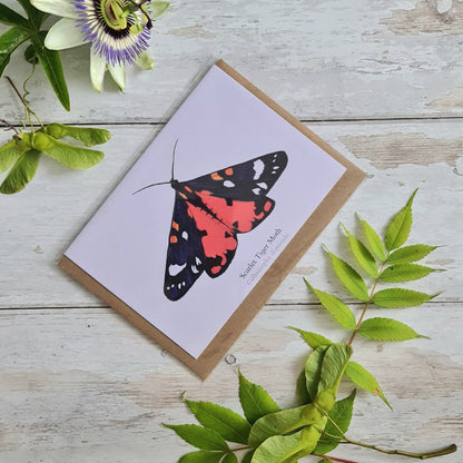 Scarlet Tiger Moth - Greetings Card - At the Cherry Tree
