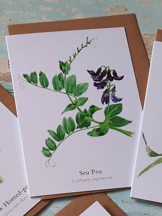 Sea Pea - Greetings Card - At the Cherry Tree