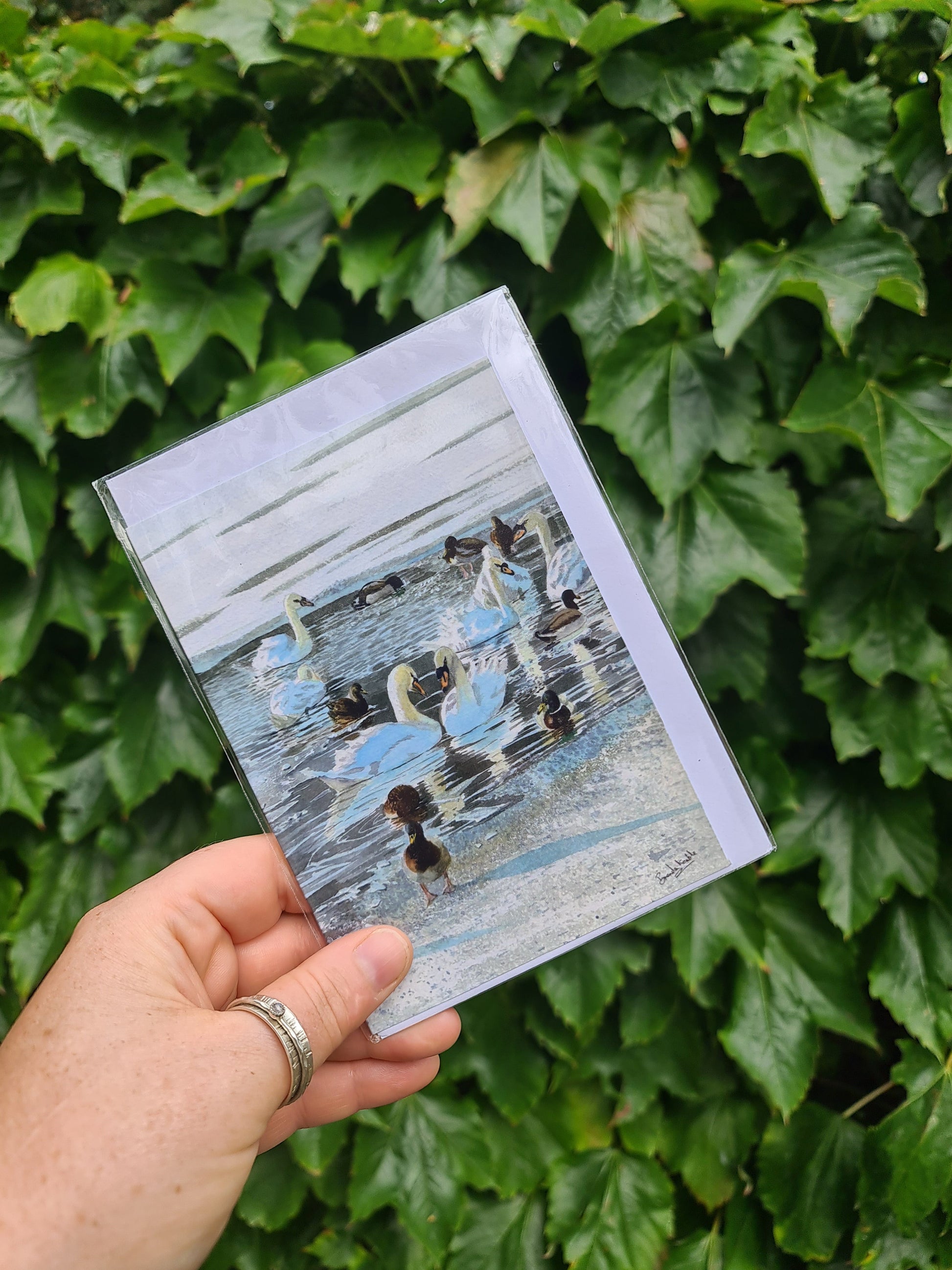 Seven Swans a - Swimming - Greetings Card - At the Cherry Tree