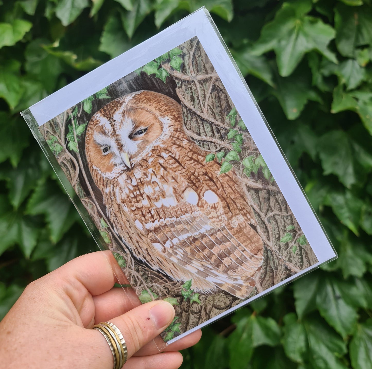 Sheltering - Greetings Card - At the Cherry Tree