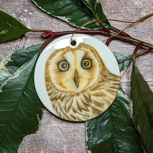 Short - eared Owl Decoration - At the Cherry Tree