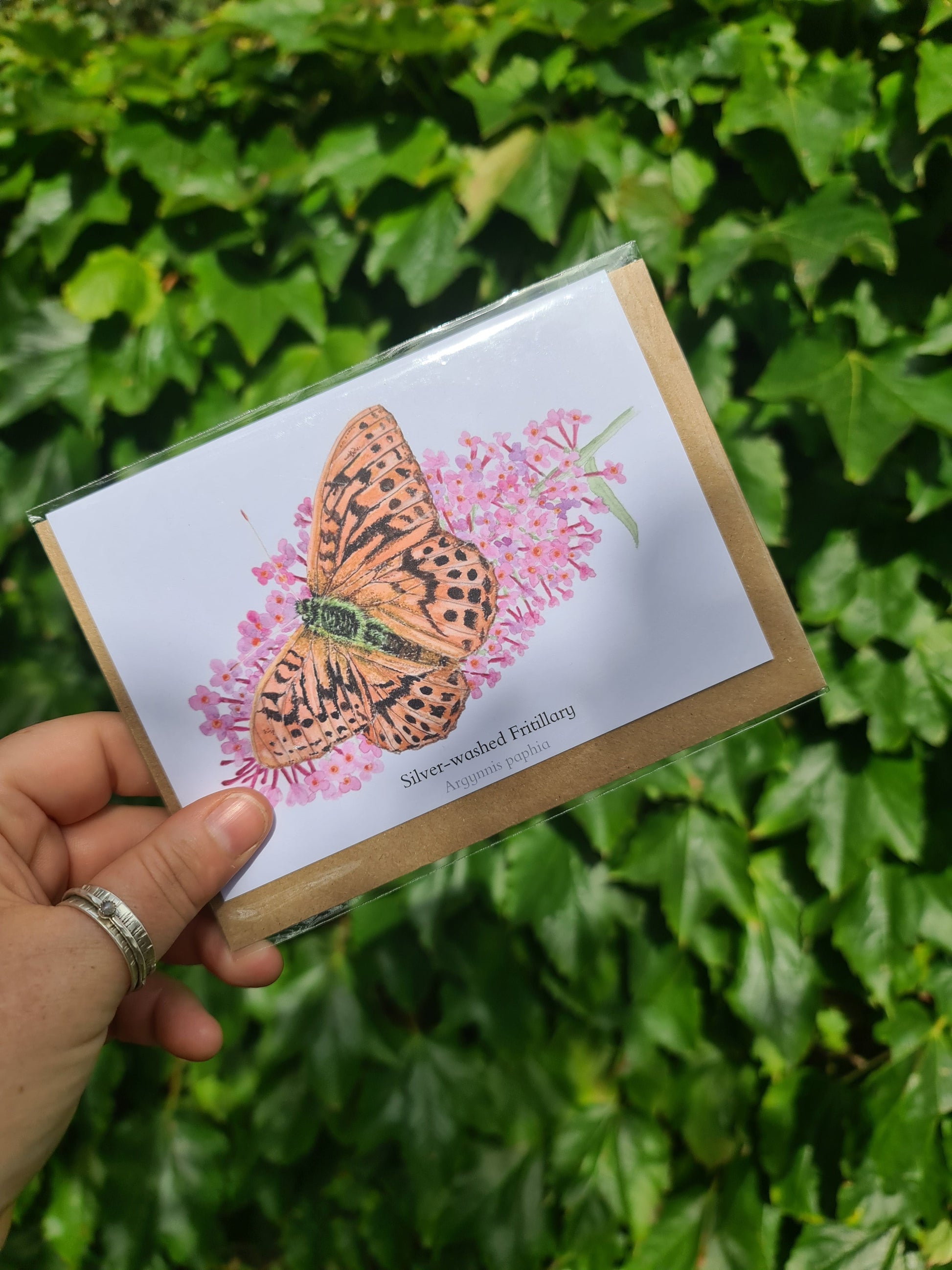 Silver - washed Fritilary Butterfly - Greetings Card - At the Cherry Tree