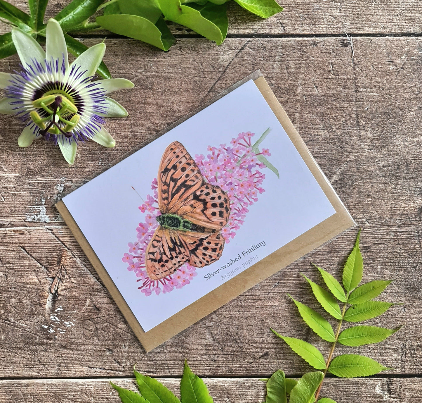 Silver - washed Fritilary Butterfly - Greetings Card - At the Cherry Tree