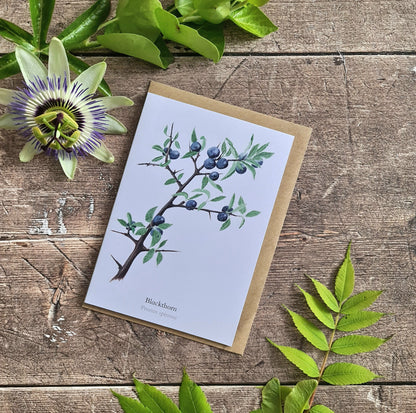 Sloe - Greetings Card - At the Cherry Tree
