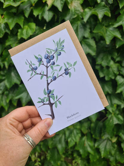 Sloe - Greetings Card - At the Cherry Tree