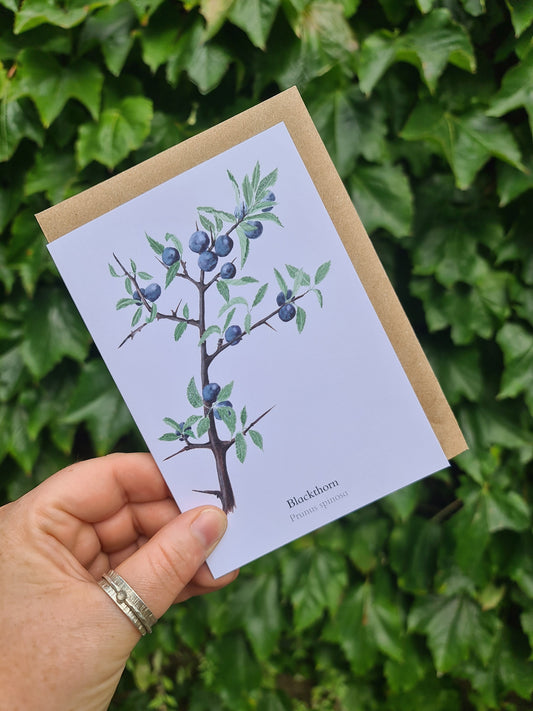 Sloe - Greetings Card - At the Cherry Tree