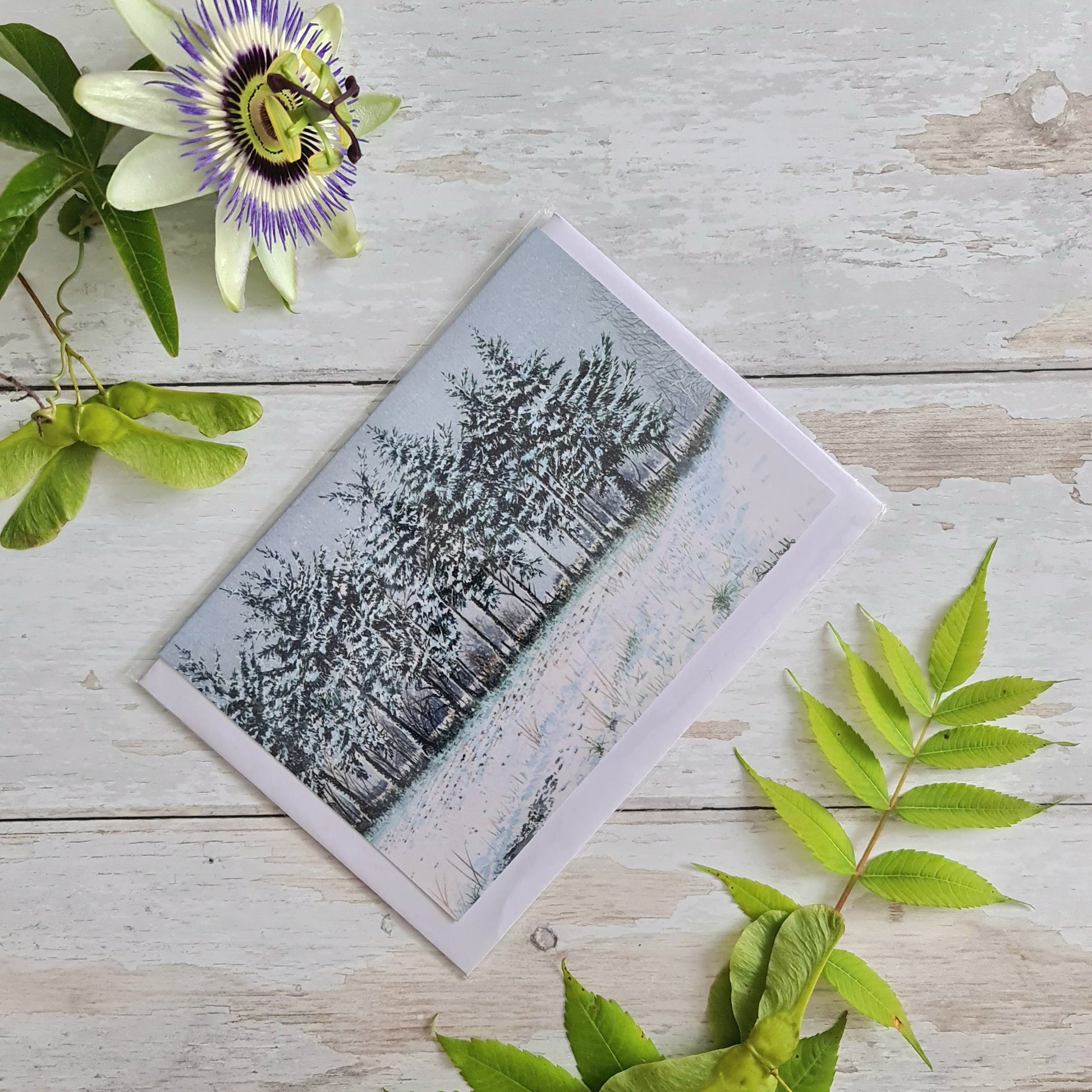 Snowy Pines - Greetings Card - At the Cherry Tree