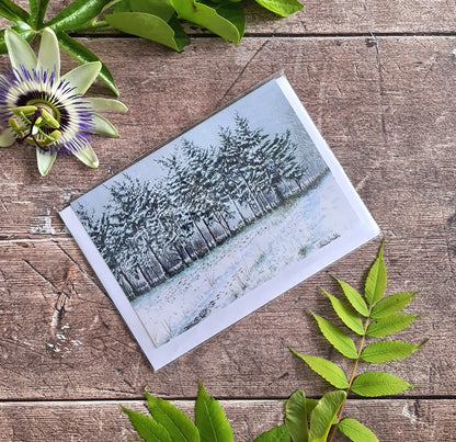 Snowy Pines - Greetings Card - At the Cherry Tree
