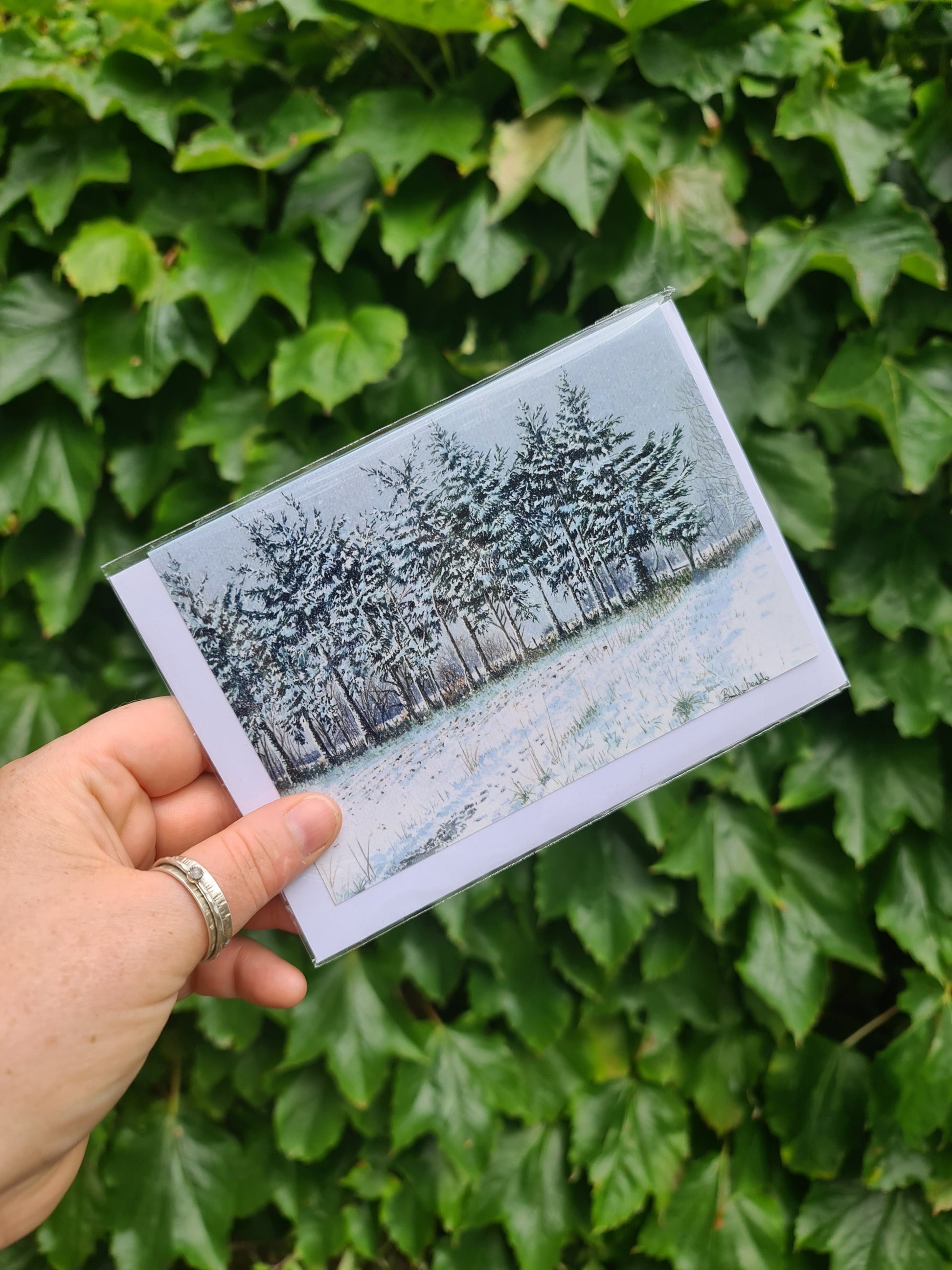 Snowy Pines - Greetings Card - At the Cherry Tree