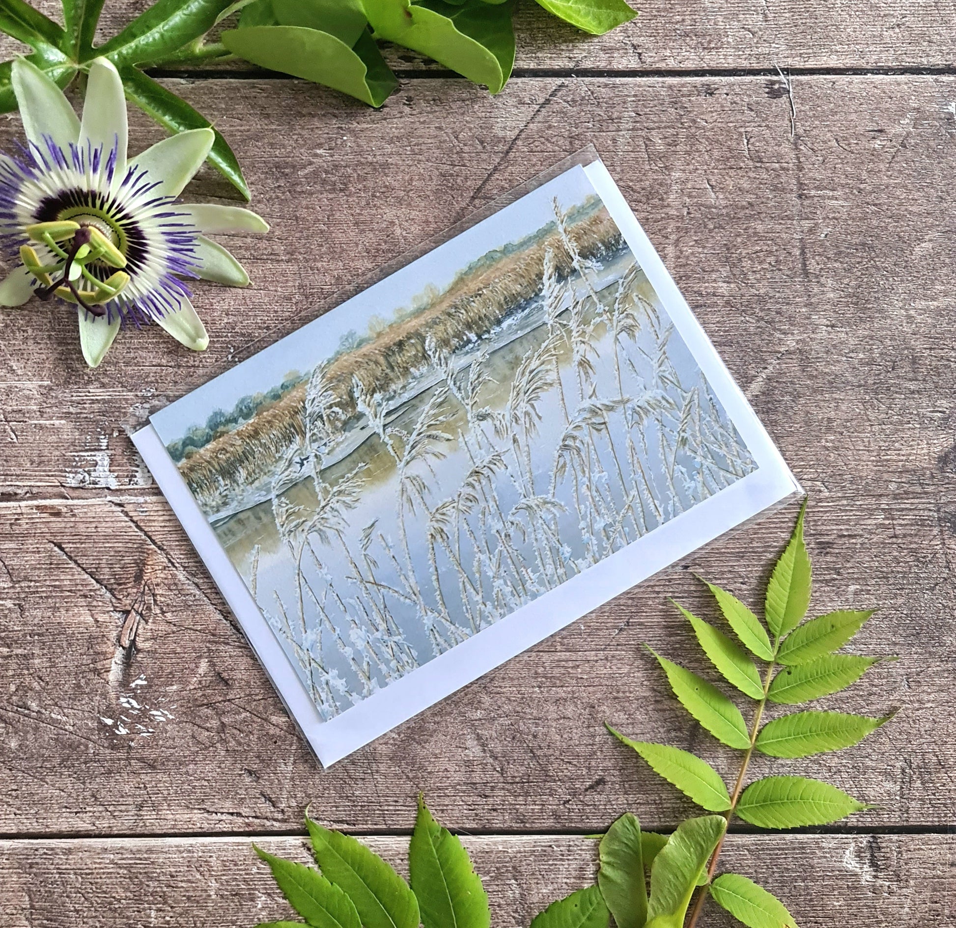 Snowy Reeds, Snape - Greetings Card - At the Cherry Tree