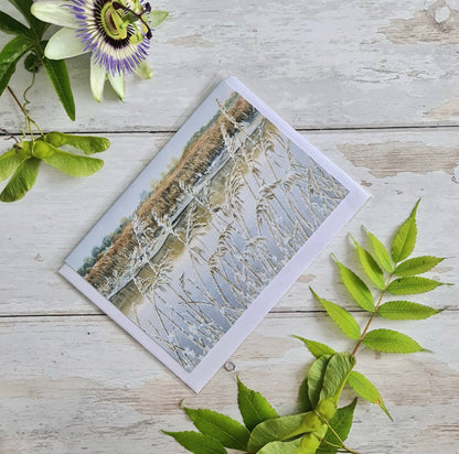 Snowy Reeds, Snape - Greetings Card - At the Cherry Tree