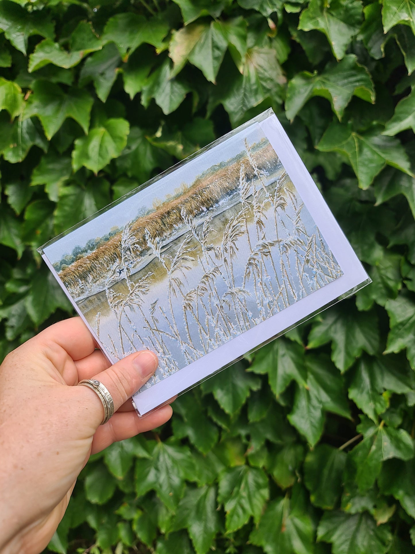 Snowy Reeds, Snape - Greetings Card - At the Cherry Tree