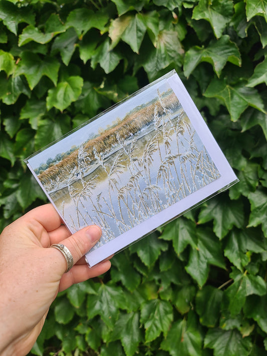 Snowy Reeds, Snape - Greetings Card - At the Cherry Tree
