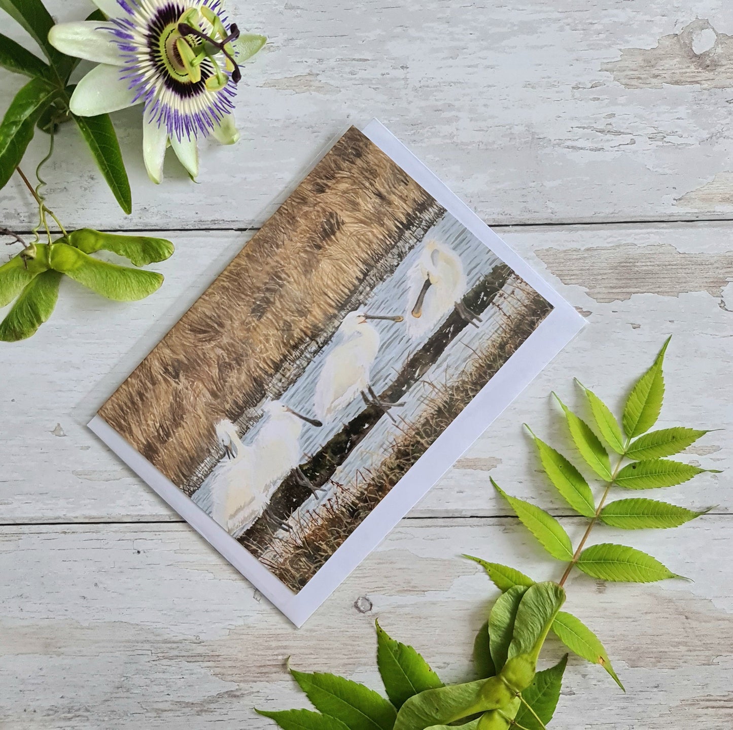 Spoonbills - Greetings Card - At the Cherry Tree