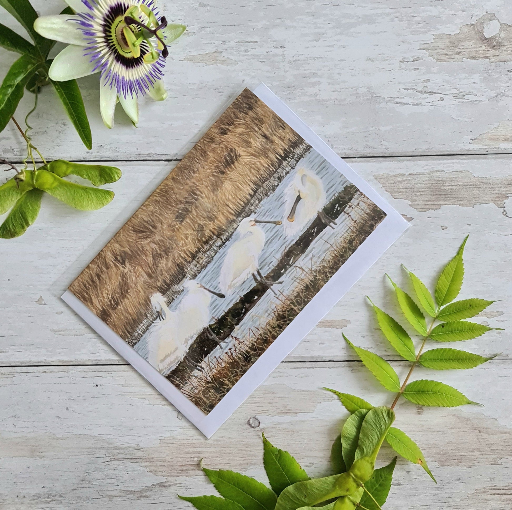 Spoonbills - Greetings Card - At the Cherry Tree