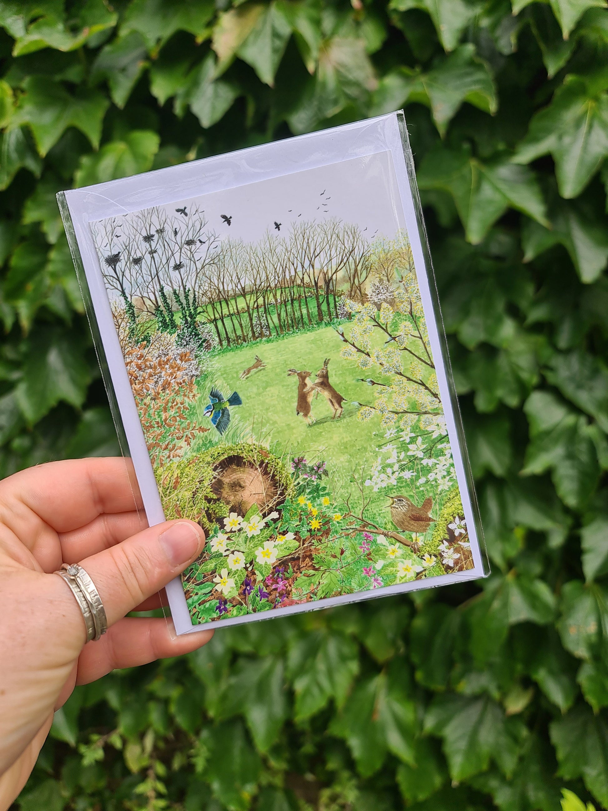 Spring Hares - Greetings Card - At the Cherry Tree