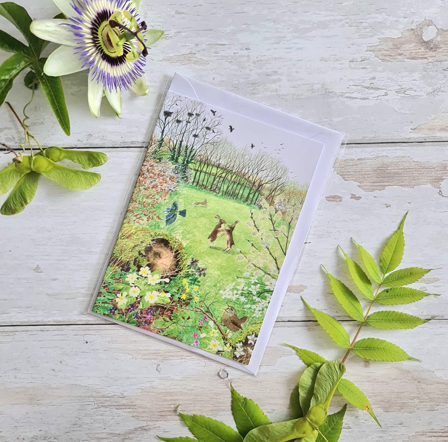 Spring Hares - Greetings Card - At the Cherry Tree