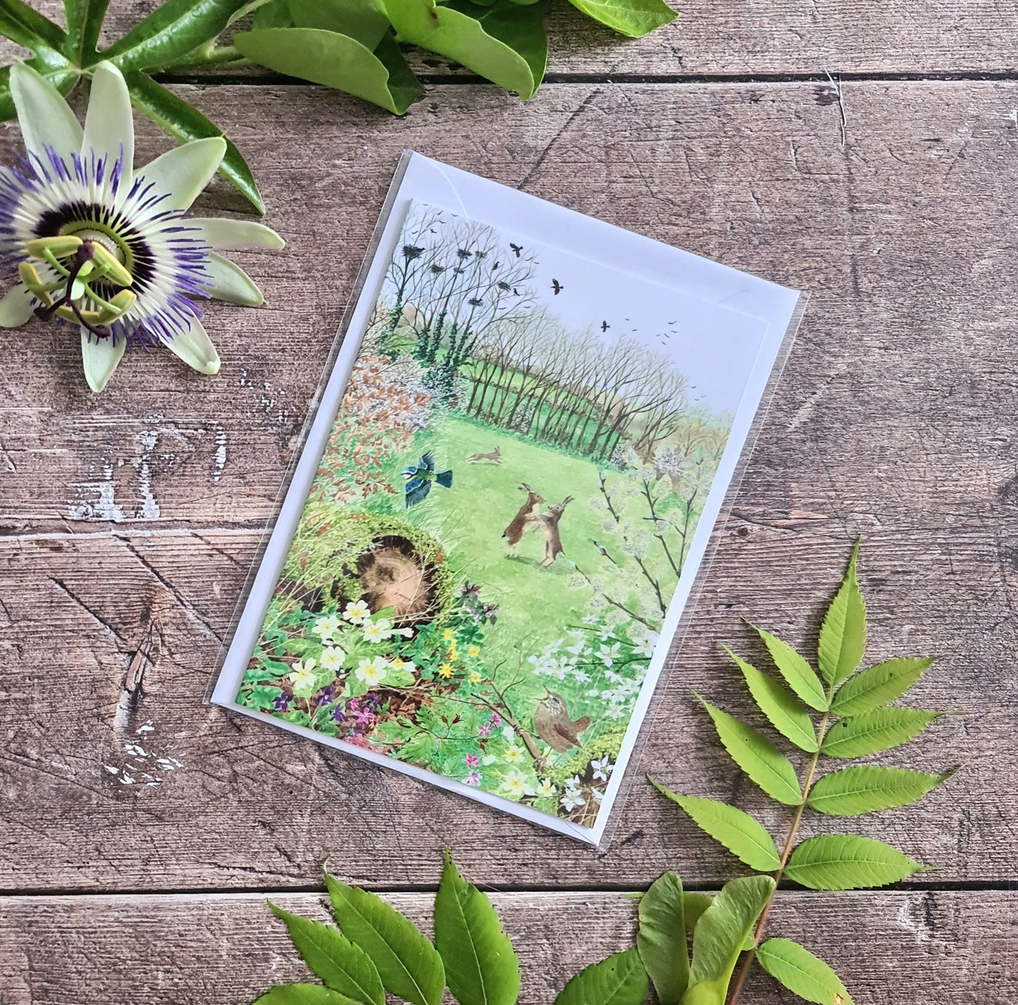 Spring Hares - Greetings Card - At the Cherry Tree