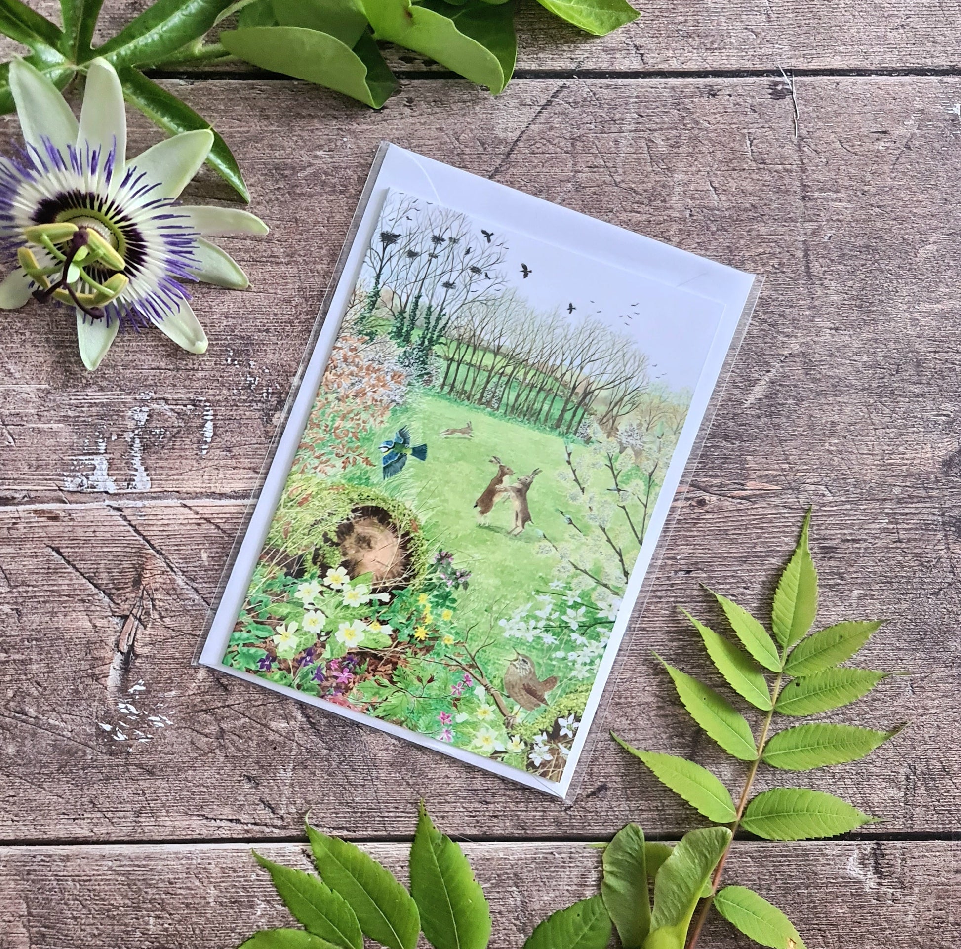 Spring Hares - Greetings Card - At the Cherry Tree