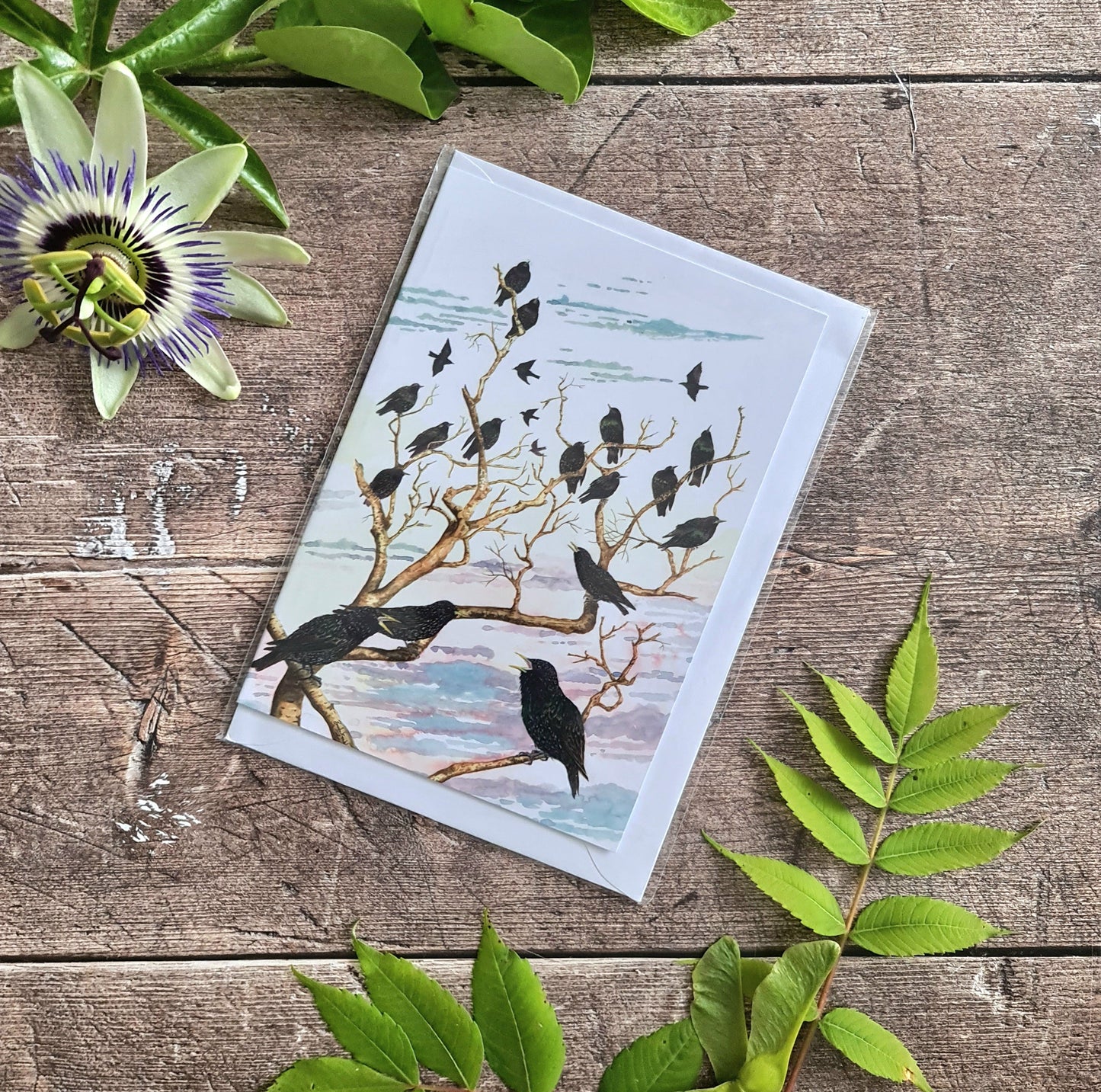 Starlings Roosting - Greetings Card - At the Cherry Tree
