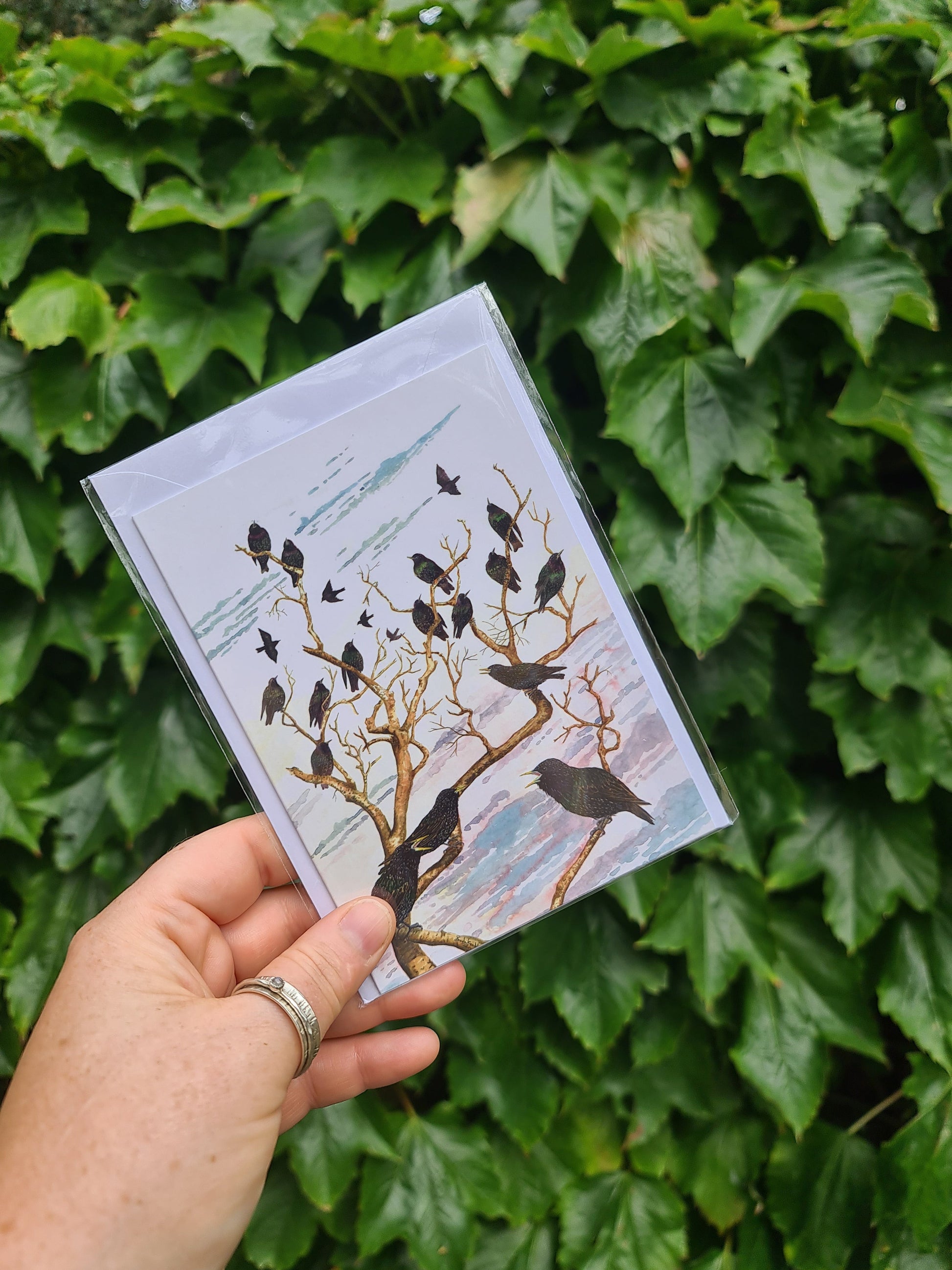Starlings Roosting - Greetings Card - At the Cherry Tree