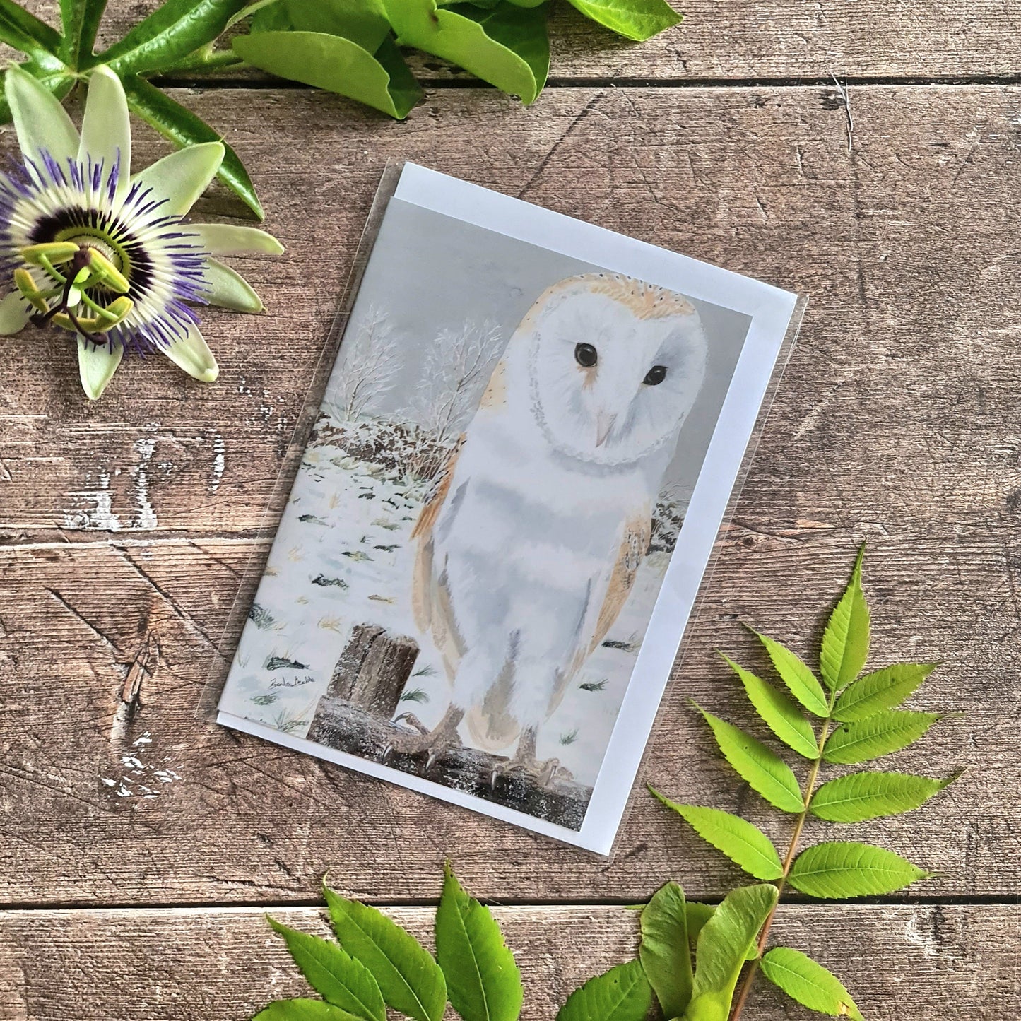 Surveying the Snowy Stillness - Greetings Card - At the Cherry Tree