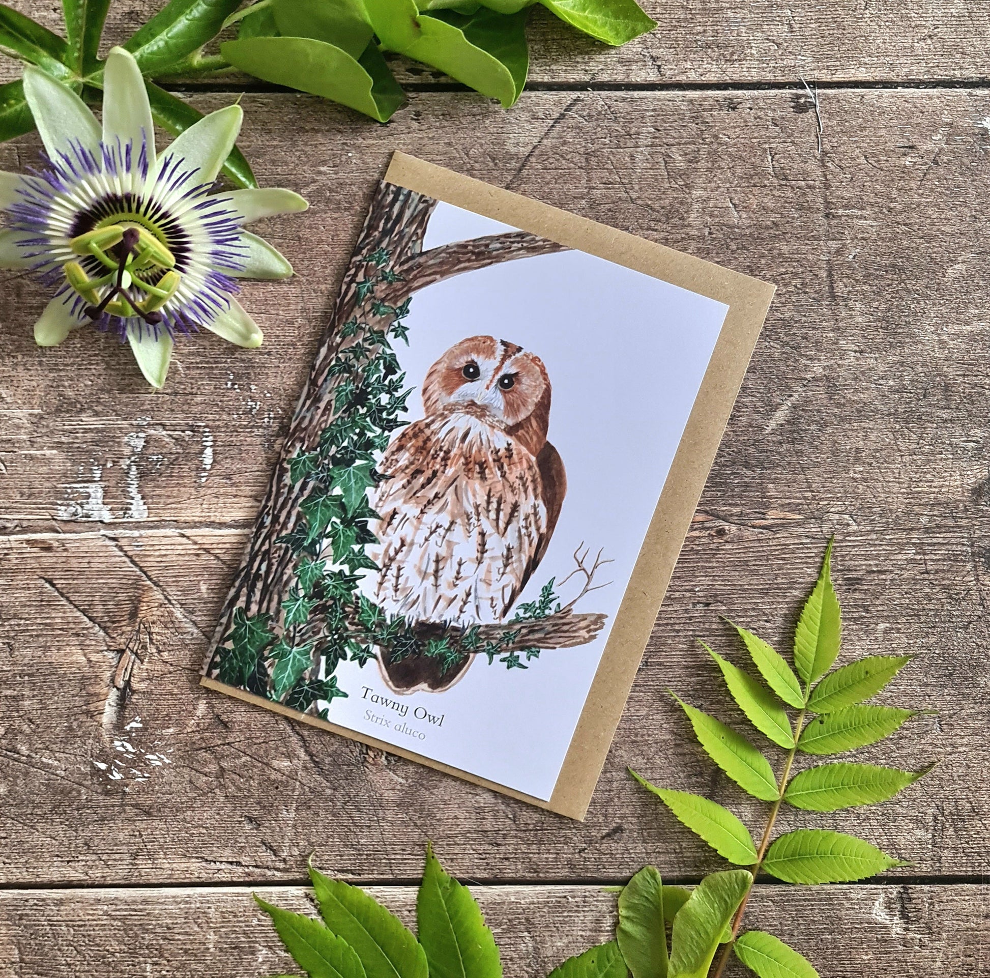 Tawny Owl - Greetings Card - At the Cherry Tree