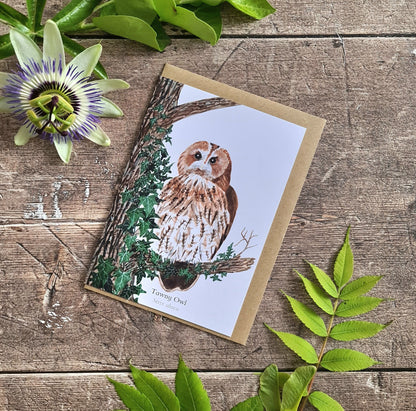 Tawny Owl - Greetings Card - At the Cherry Tree