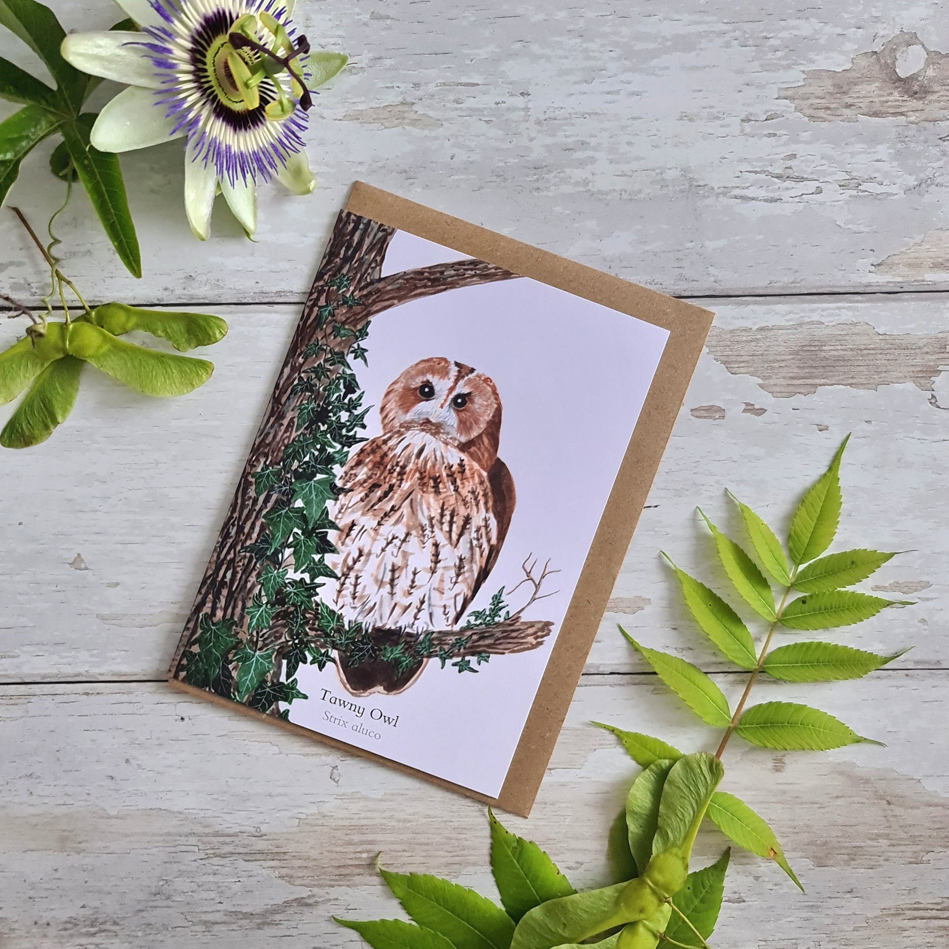 Tawny Owl - Greetings Card - At the Cherry Tree
