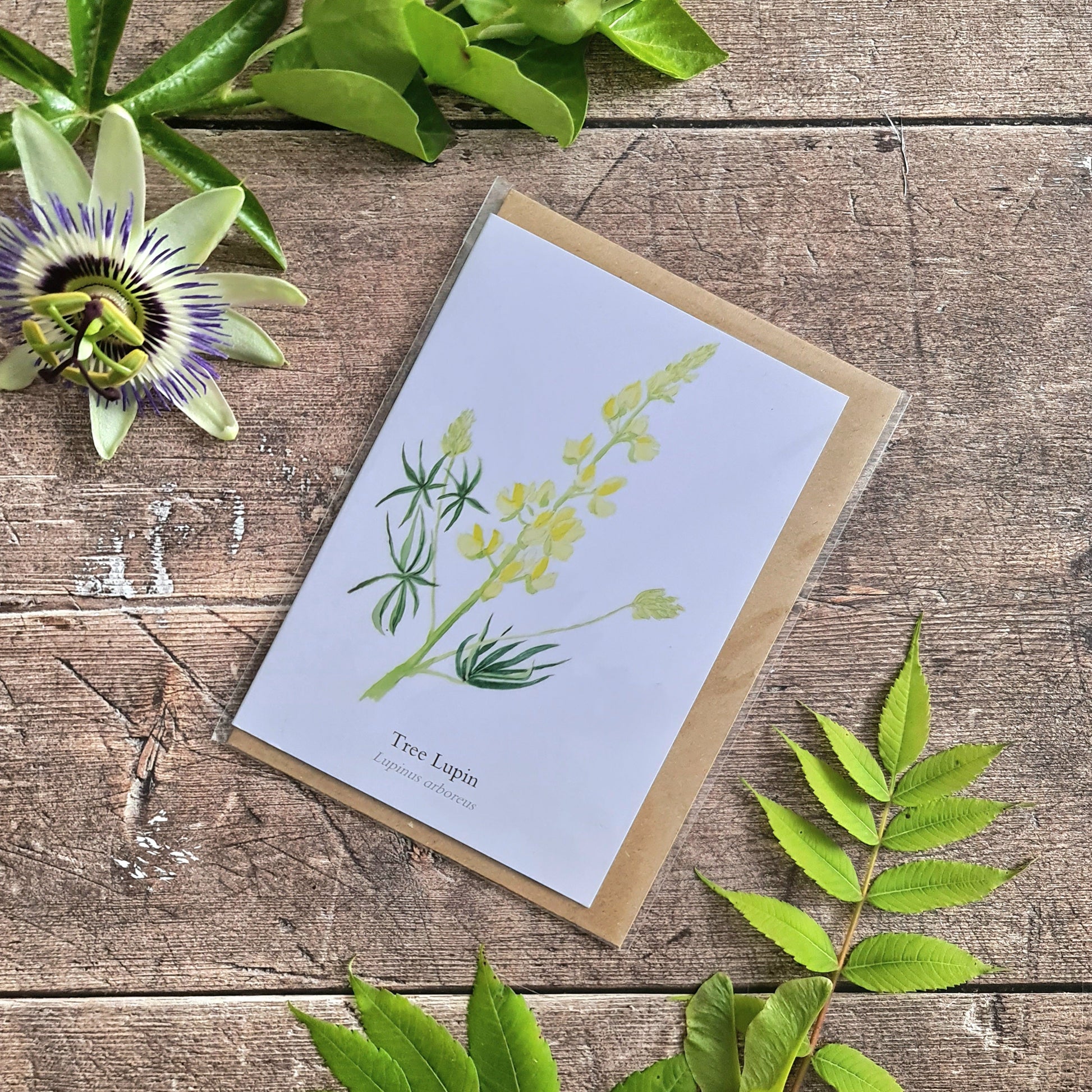 Tree lupin - Greetings Card - At the Cherry Tree