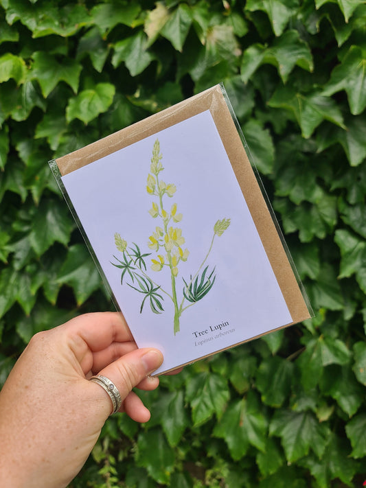 Tree lupin - Greetings Card - At the Cherry Tree