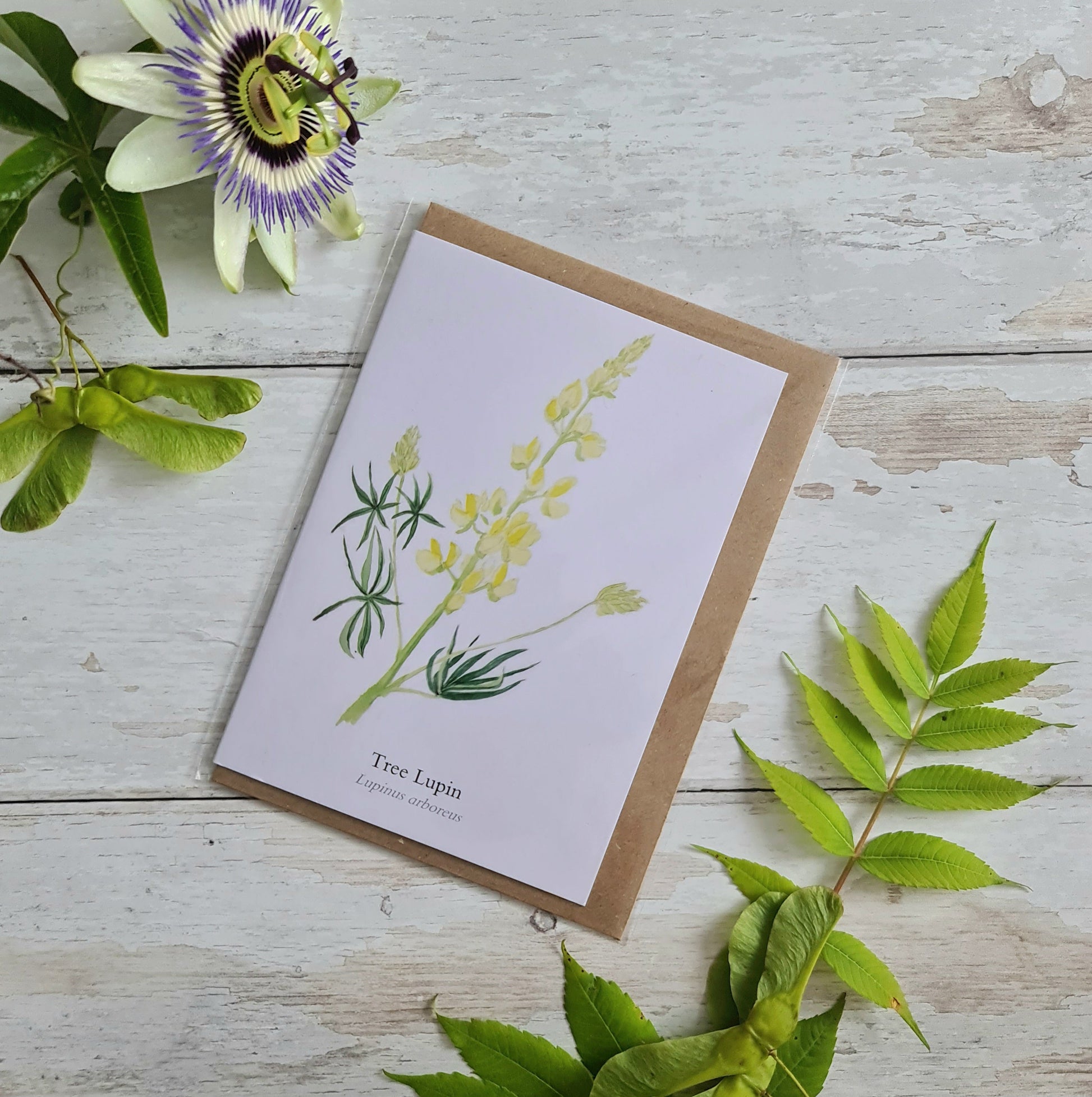 Tree lupin - Greetings Card - At the Cherry Tree